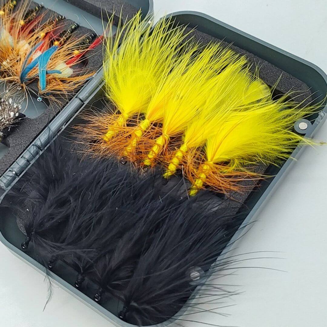 30pcs Loch - Style & Stillwater Fly Assortment | Trout Lures & Attractor Wet Flies with Box - RIVFLY