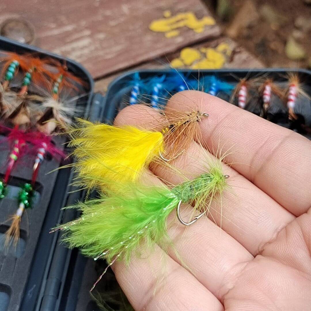 64pcs Fly Assortment | Woolly Buggers, Dry Flies & Nymphs with Waterproof Box - RIVFLY