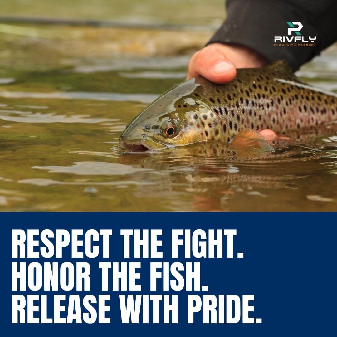 Rivfly Pro Competition Jig Hooks | Barbless Euro Nymph Hooks for Fly Tying - RIVFLY