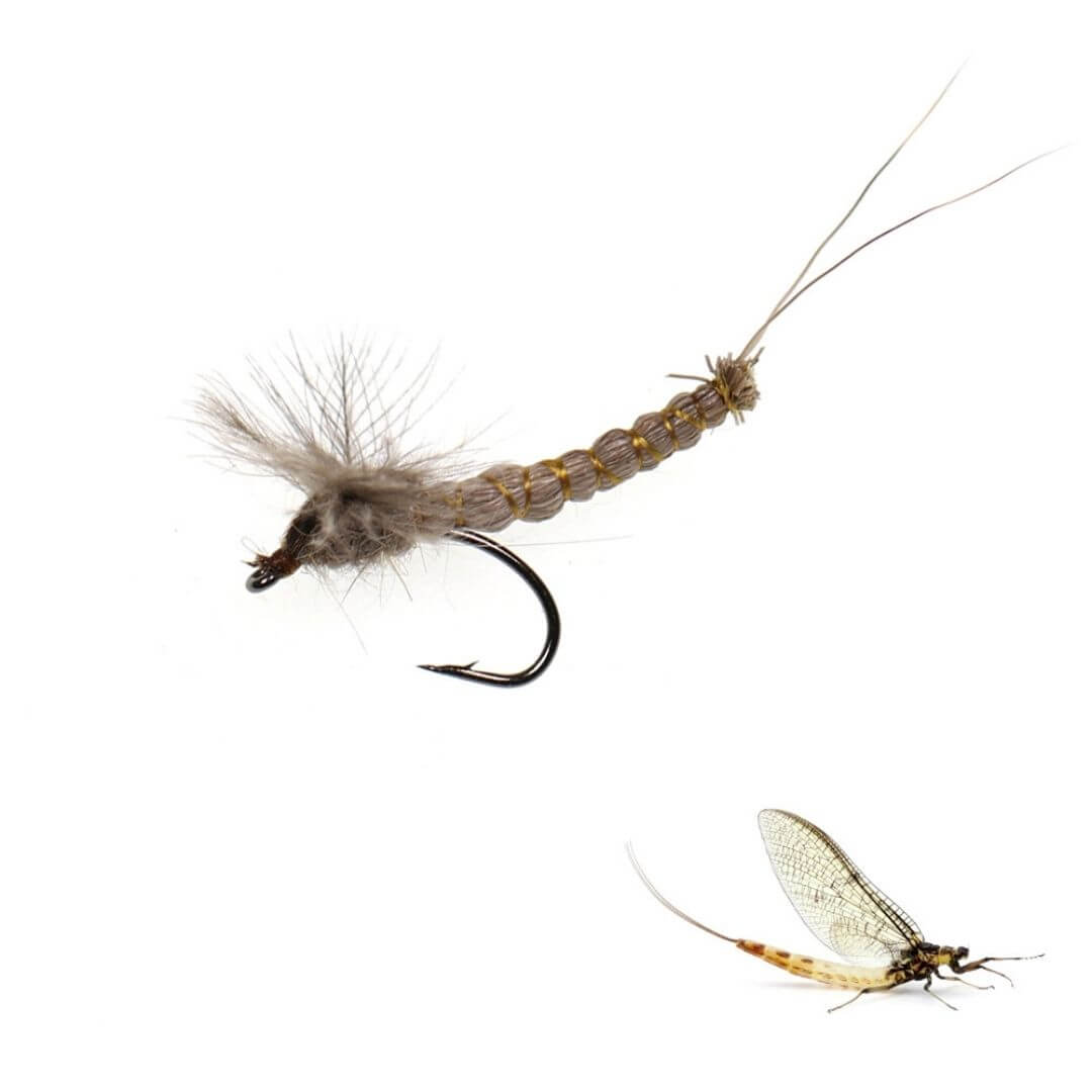 The Ultimate High - Floating CDC Mayfly - RIVFLY