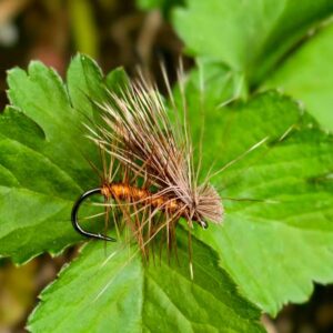 elk hair caddis