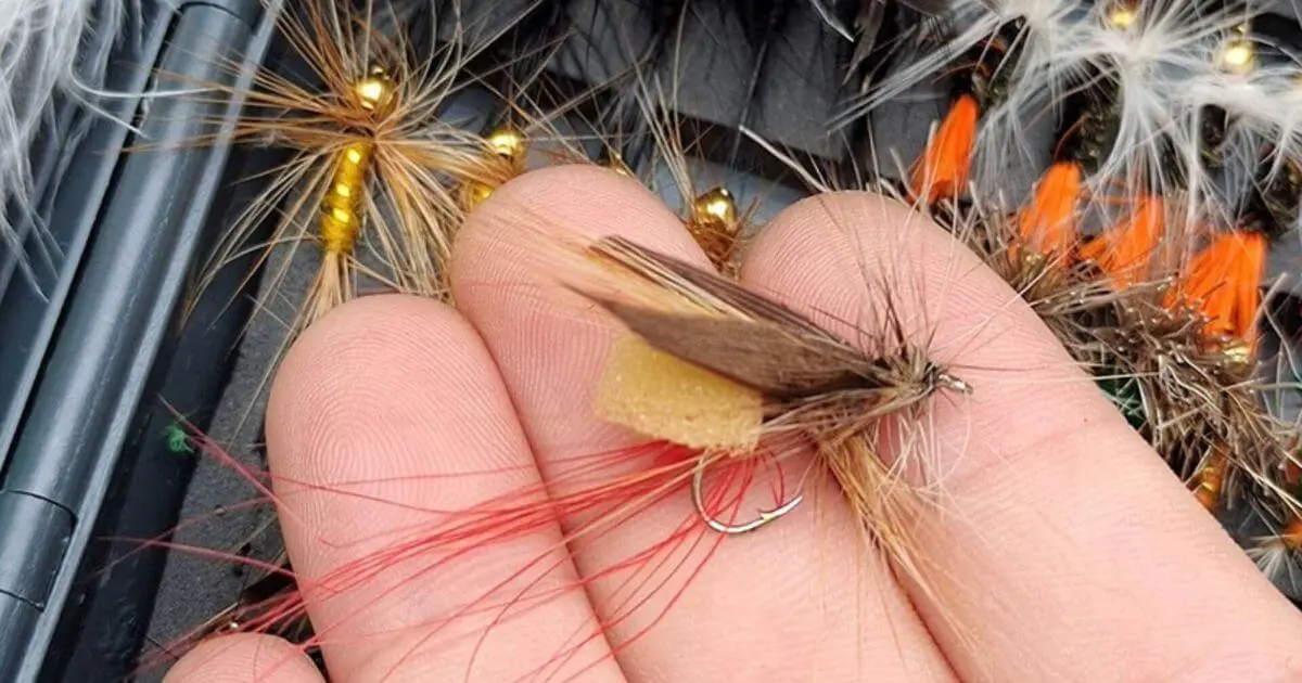 Why Do Flies Fall Apart After One Fish-2