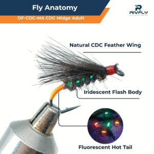 CDC Midge Adult Hot Spot