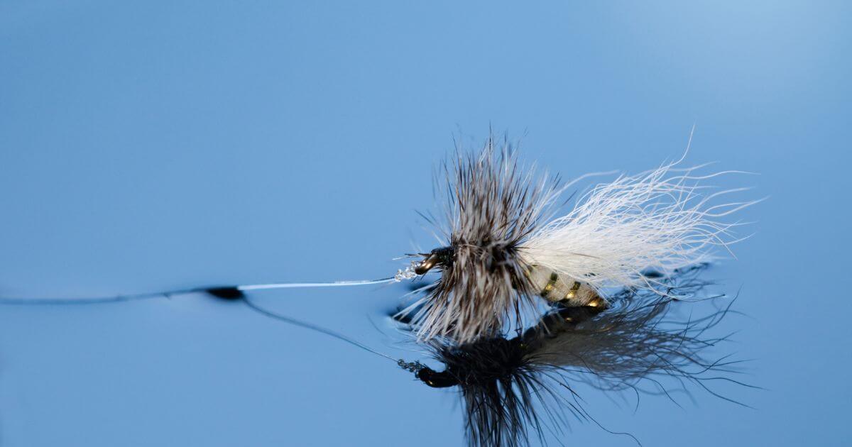 drag-free drift fly fishing beginner