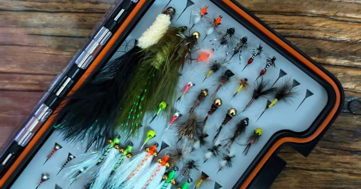 Foam Fly Box Problems — Why Silicone Holds Up Better