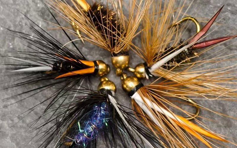 prince nymph all